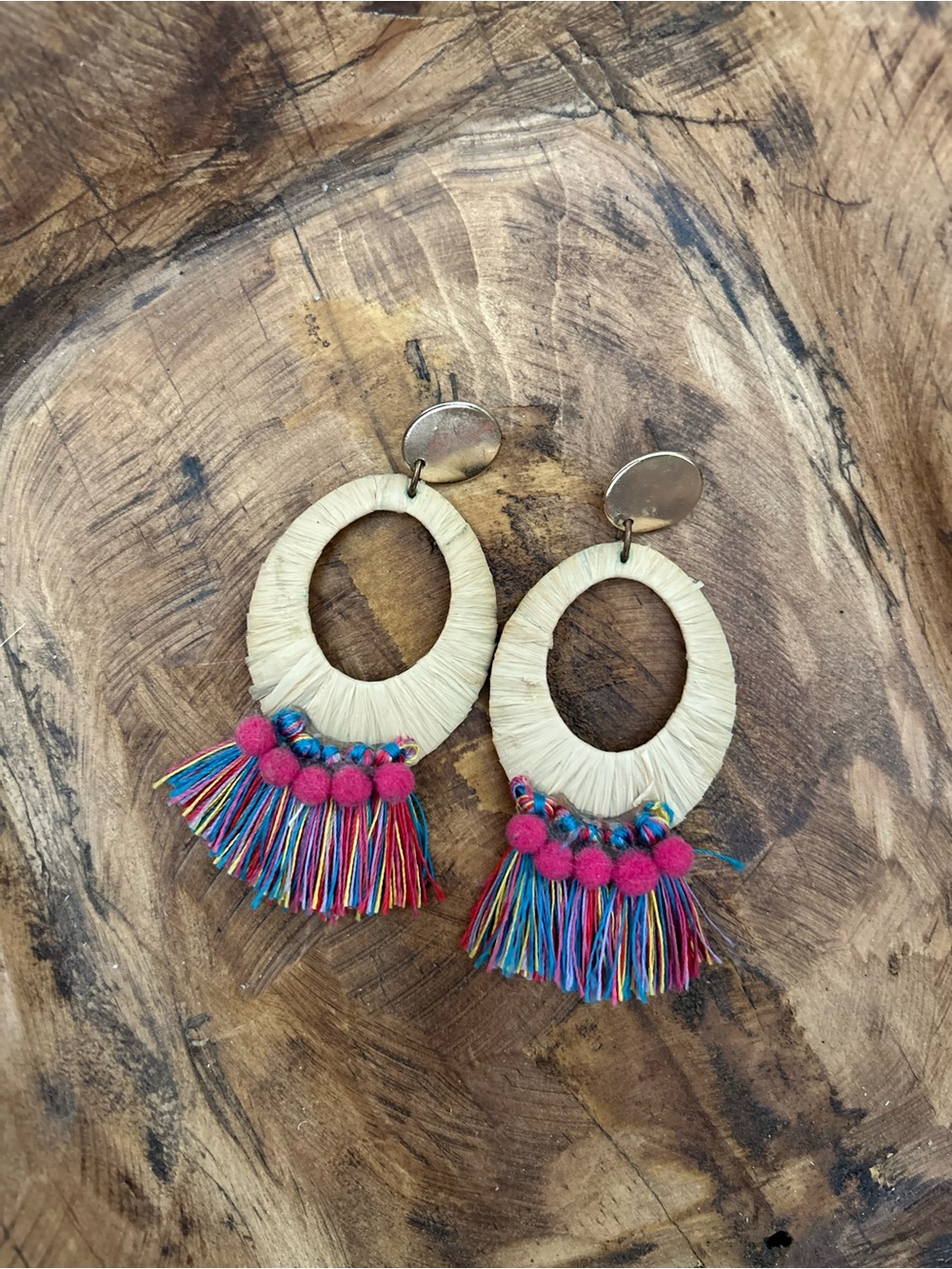 Vibrant Multicolor Tassel Hoop Drop Earrings